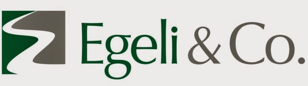 Egeli&Co Yatırım Holding ve Verusa Holding sorusu