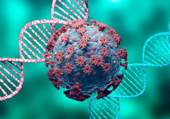 T hücrelerini hedefleyen ilk korona virüs aşısının sonuçları paylaşıldı